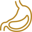 Your Digestion, Working Right